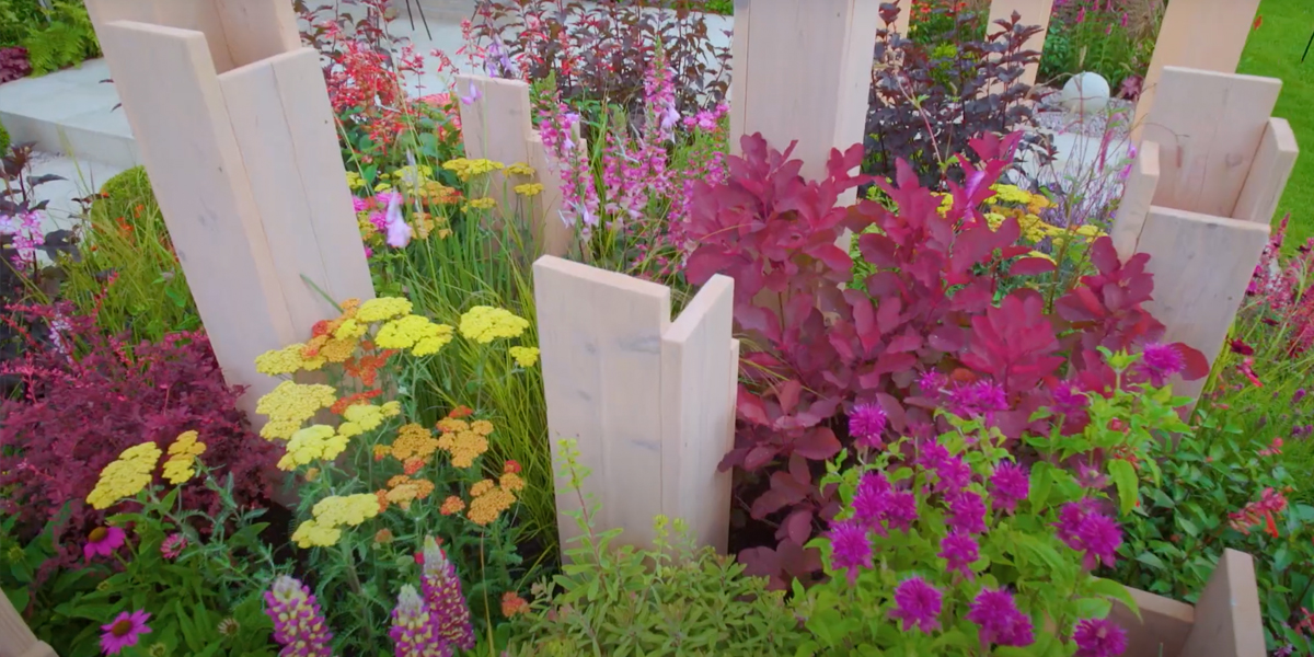 RHS Tatton Park